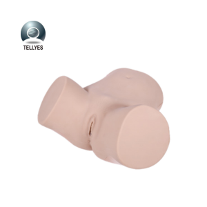 Simulador ginecologico avanzado plus