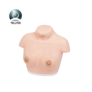 Modelo de inspeccion y palpacion mamaria