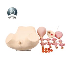 Simulador avanzado de examen ginecológico